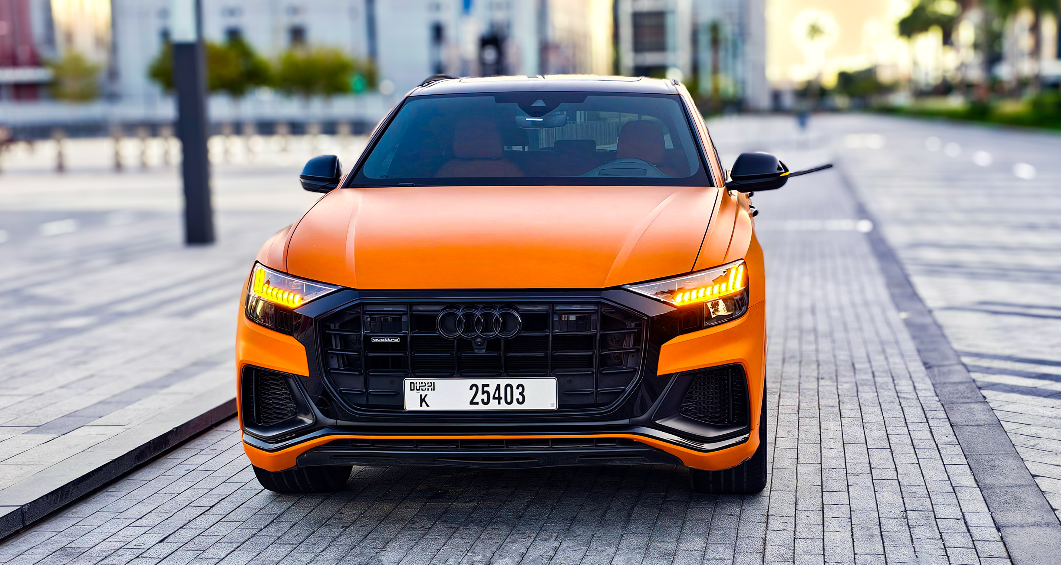 Audi		 Q8 - Image 20