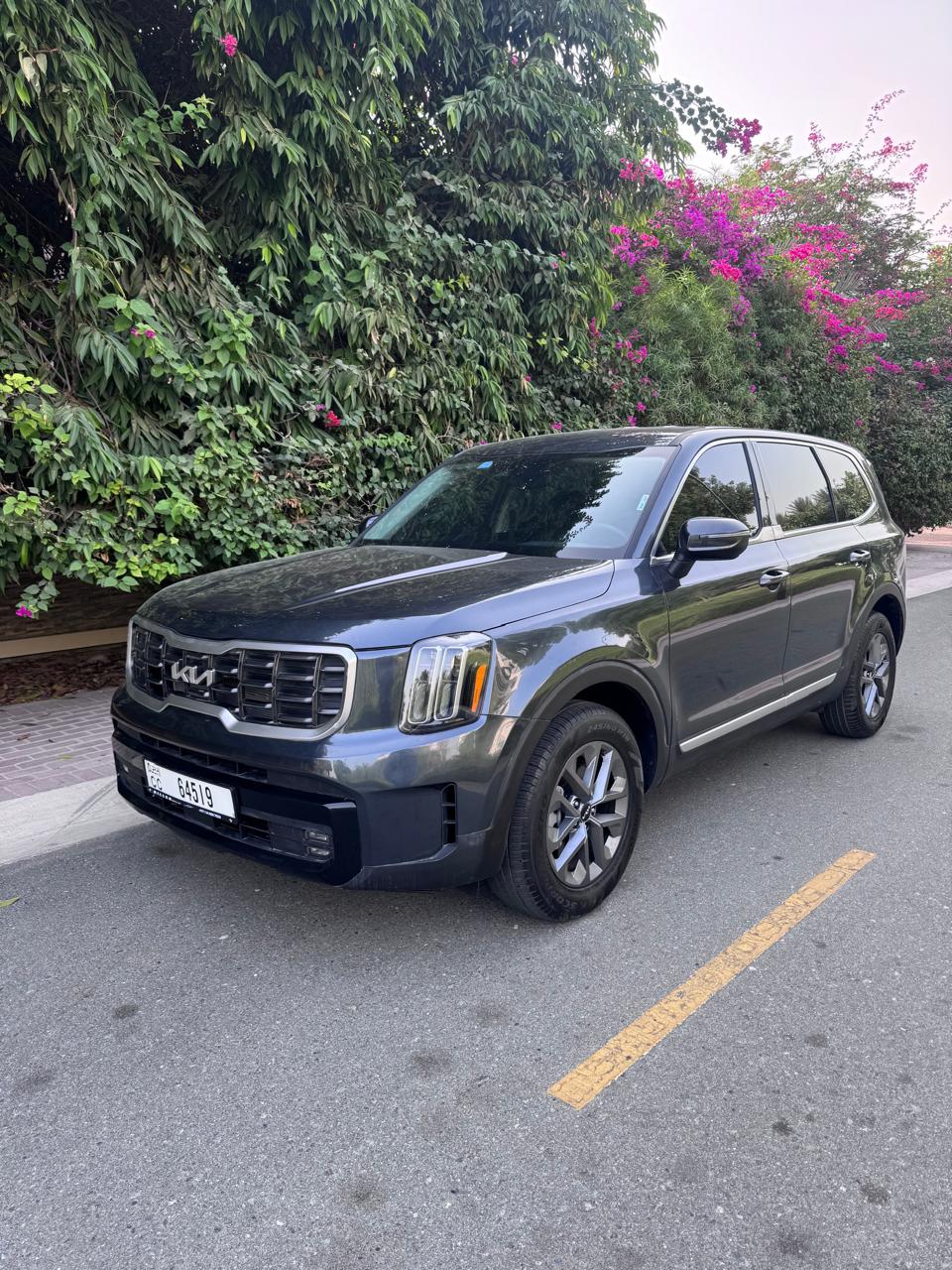 KIA		 Telluride - Image 5