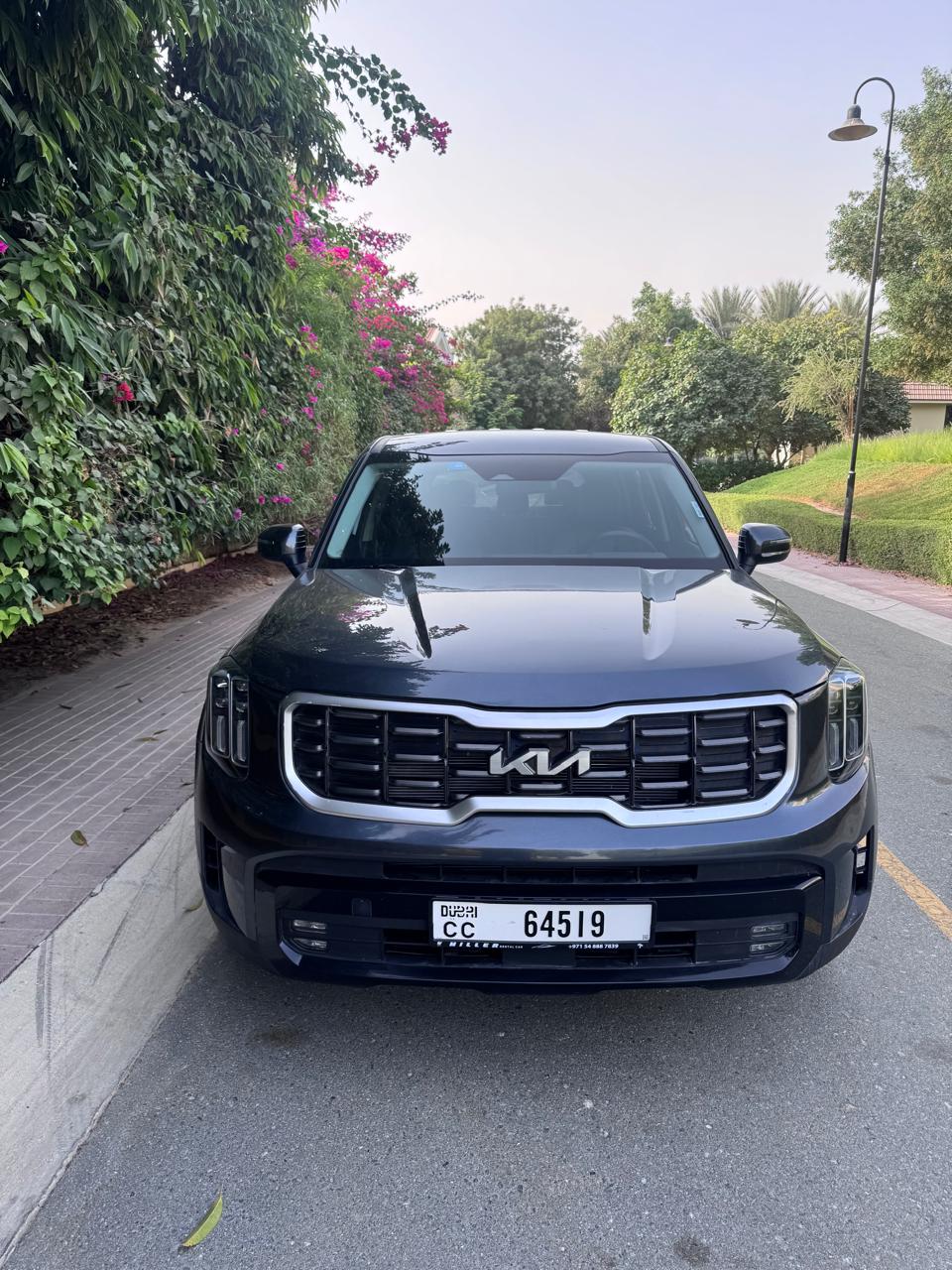KIA		 Telluride - Image 6