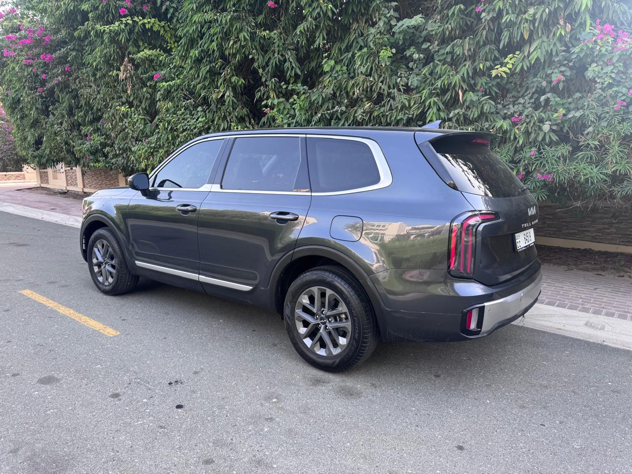 KIA		 Telluride - Image 12