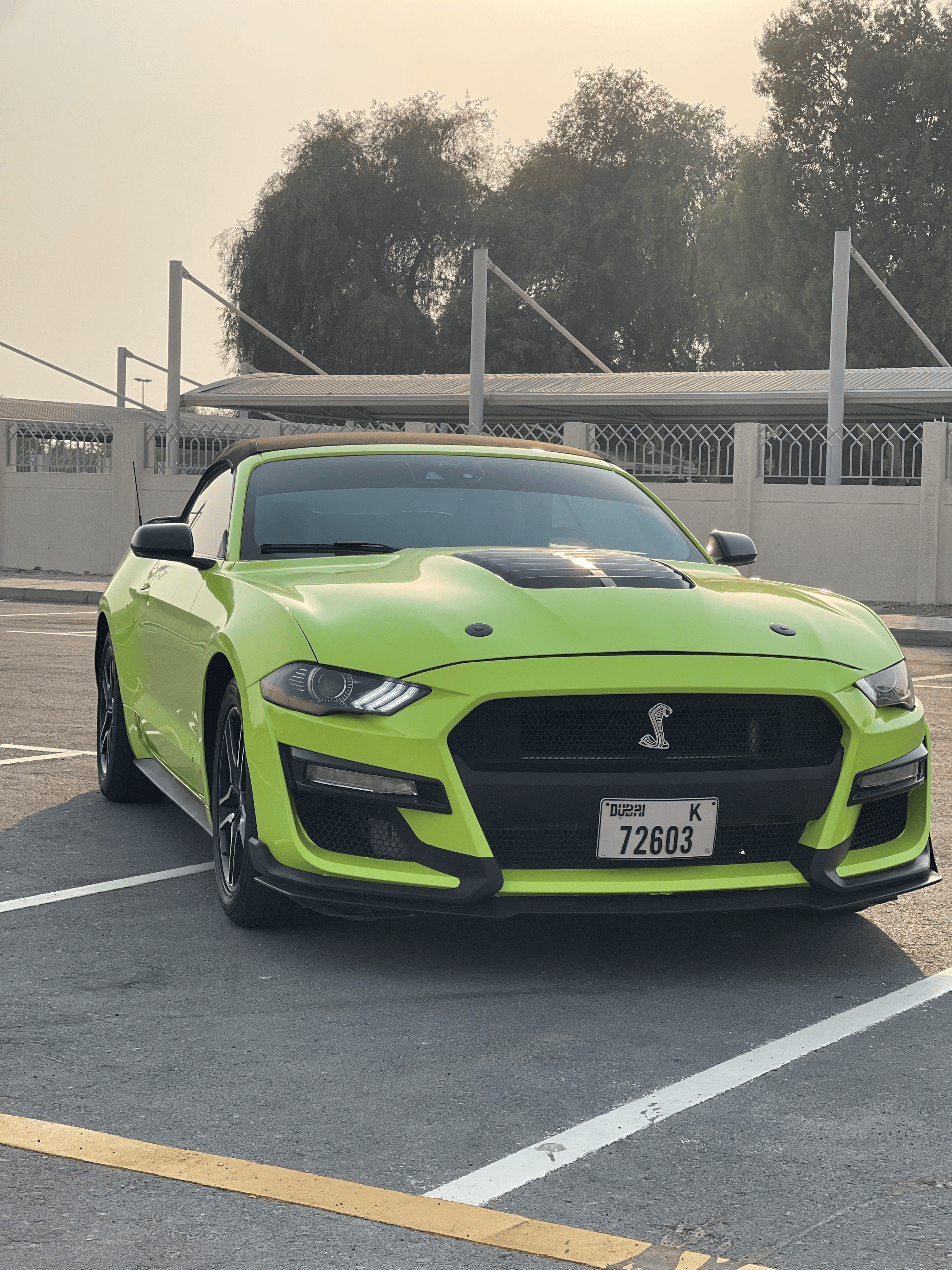Ford		 Green - Image 2