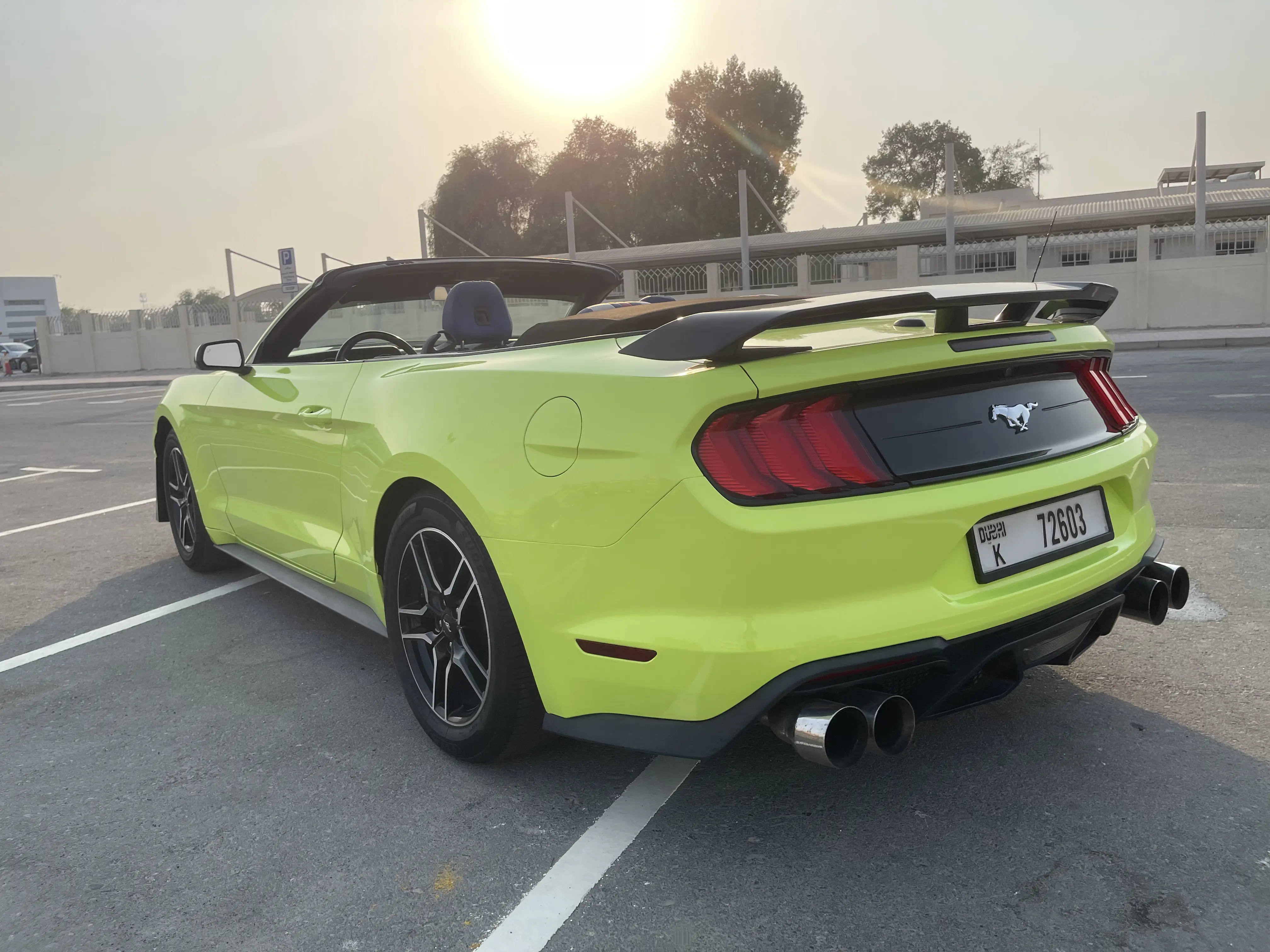 Ford		 Green - Image 4