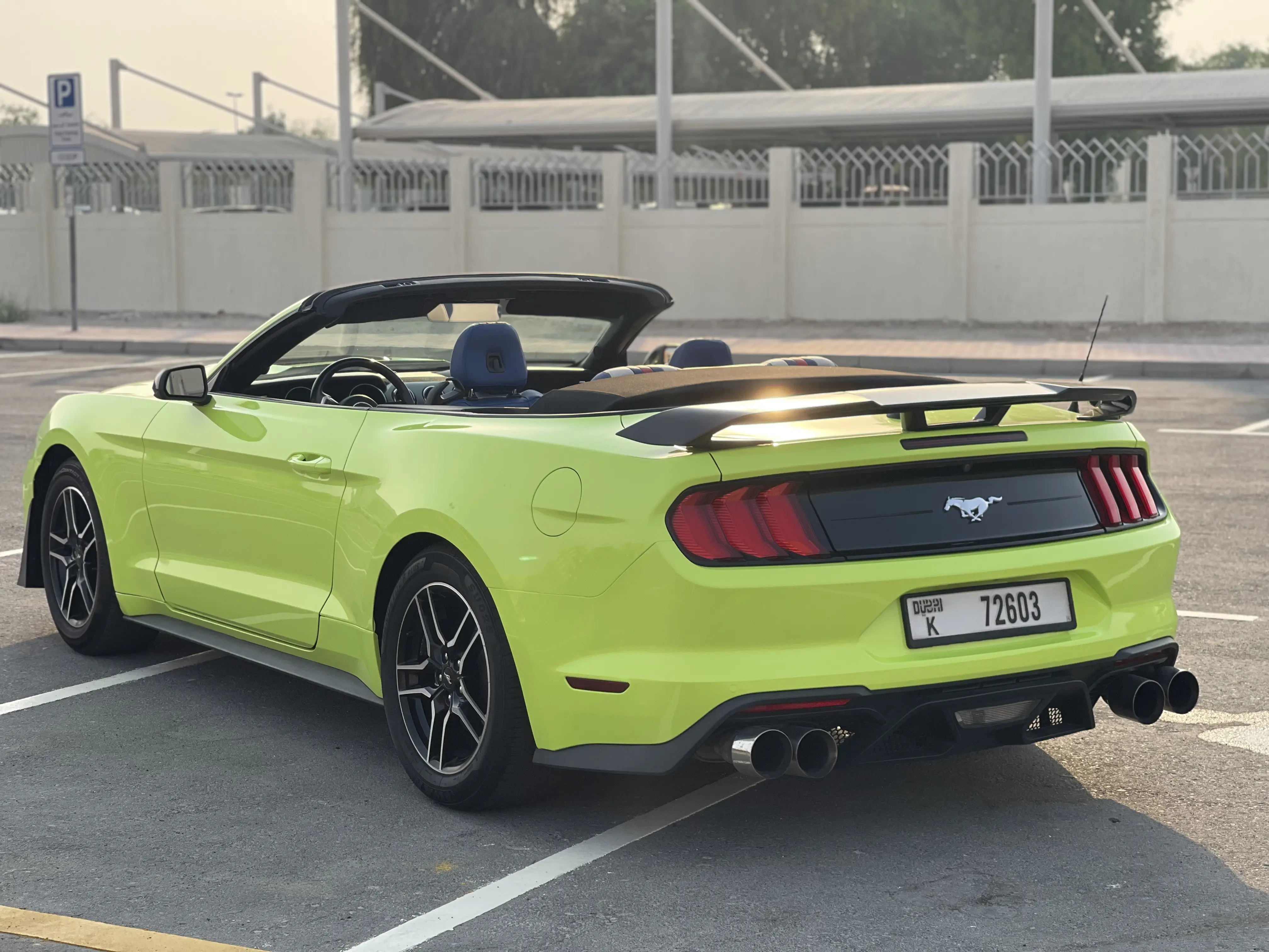 Ford		 Green - Image 6