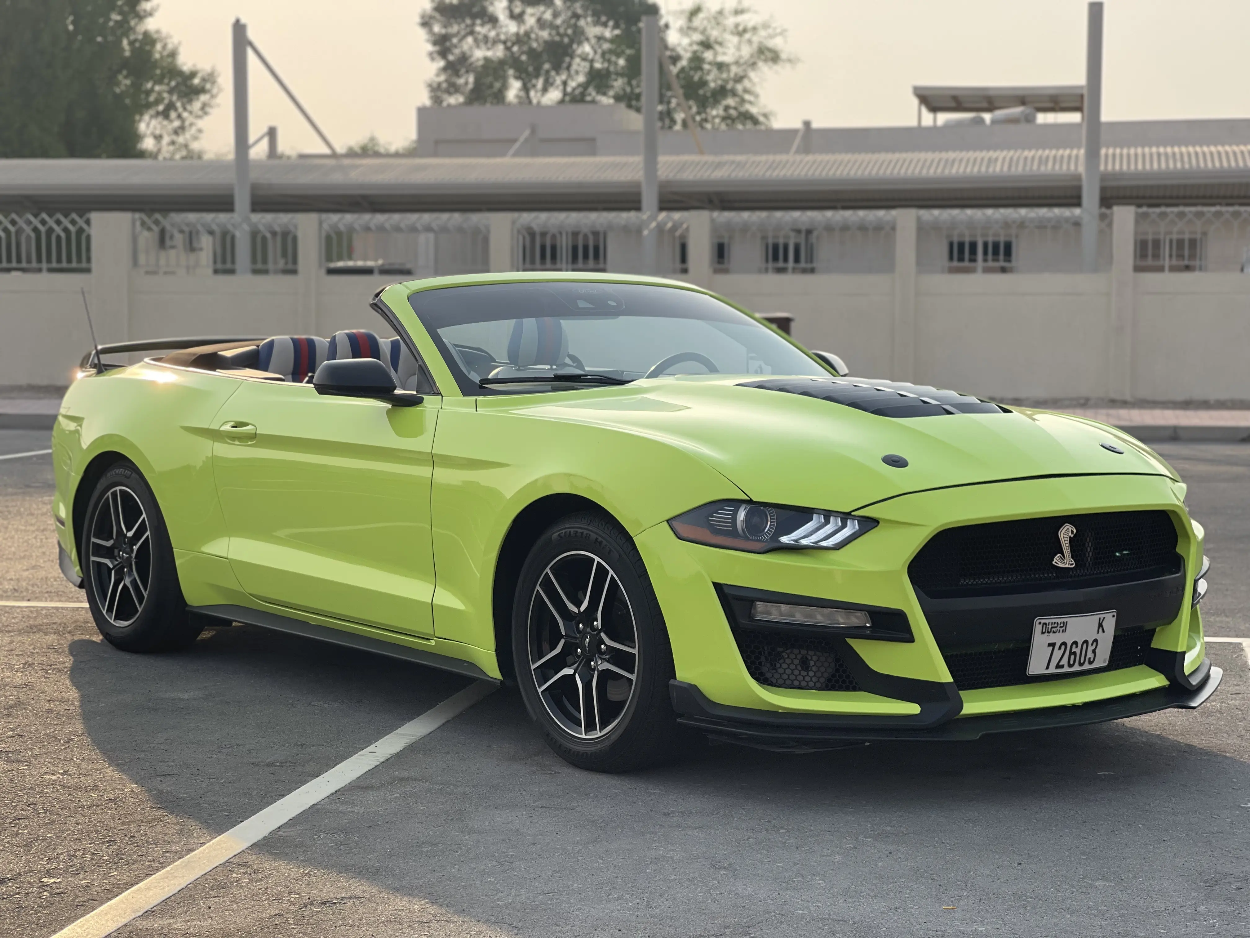 Ford		 Green - Image 9