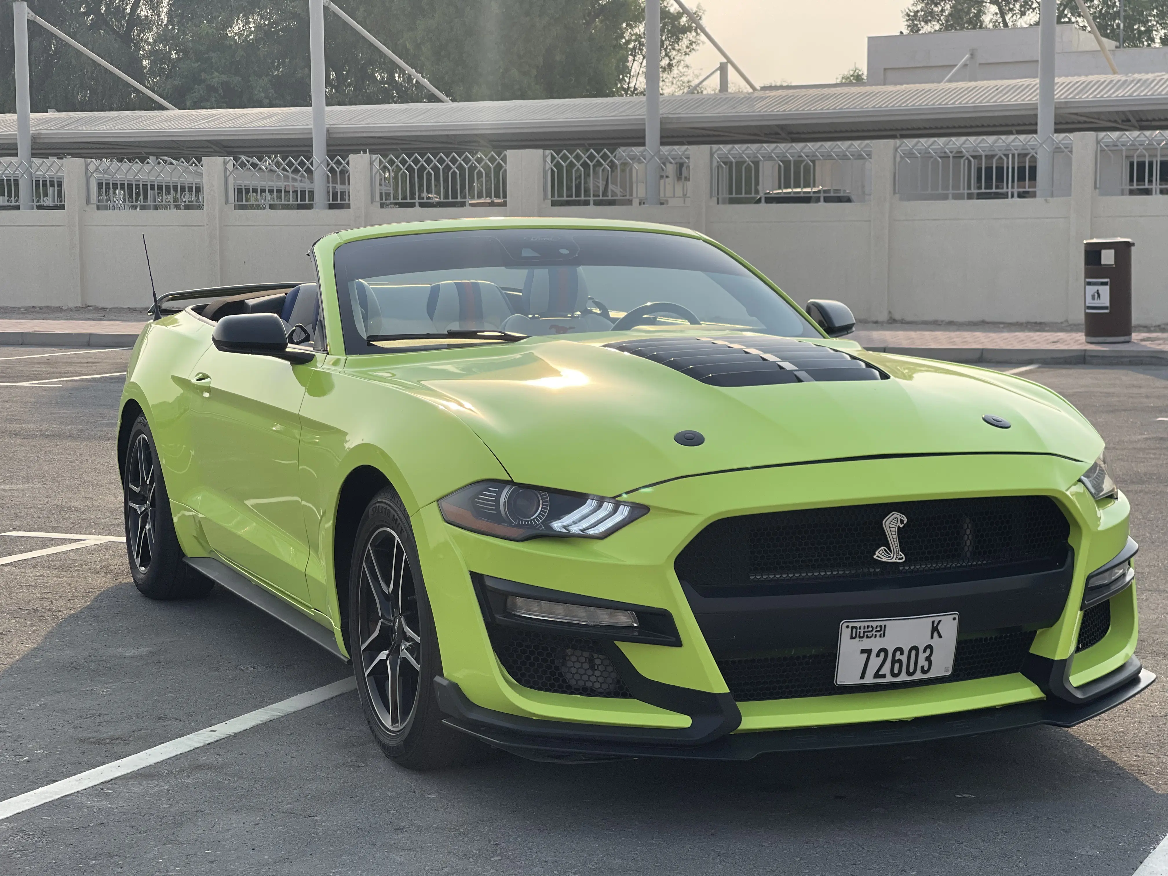 Ford		 Green - Image 10